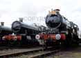 Photograph of HINDERTON HALL - 5900 HINDERTON HALL &  5029 NUNNEY CASTLE at Didcot on 07/05/10