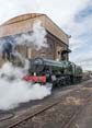 Photograph of FOREMARKE HALL - 7903 FOREMARKE HALL at Didcot on 08/06/19