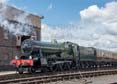 Photograph of FOREMARKE HALL - 7903 FOREMARKE HALL at Didcot on 08/06/19