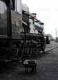 Photograph of NUNNEY CASTLE - 5029 NUNNEY CASTLE at Didcot on 08/05/10