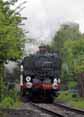 Photograph of 0-6-0PT - 9466 0-6-0PT at Didcot on 08/05/10