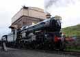 Photograph of NUNNEY CASTLE - 5029 NUNNEY CASTLE at Didcot on 08/05/10