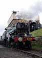 Photograph of NUNNEY CASTLE - 5029 NUNNEY CASTLE at Didcot on 08/05/10