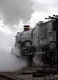 Photograph of NUNNEY CASTLE - 5029 NUNNEY CASTLE at Didcot on 08/05/10