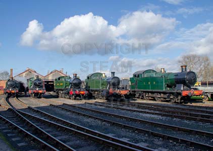 Purchase photo of Tank Engines In The Sun at Didcot