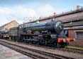 Photograph of PENDENNIS CASTLE - 4079 PENDENNIS CASTLE at Didcot on 11/02/24