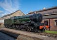 Photograph of DRYSLLWYN CASTLE - 5051 DRYSLLWYN CASTLE at Didcot on 11/02/24