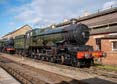 Photograph of PENDENNIS CASTLE - 4079 PENDENNIS CASTLE at Didcot on 11/02/24