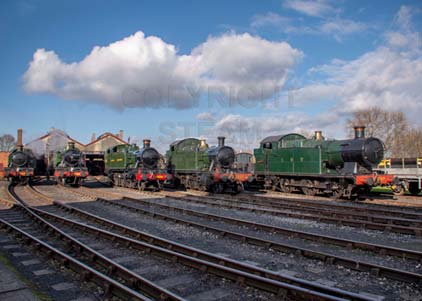 Purchase photo of Tank Engines In The Sun at Didcot