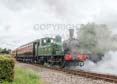 Photograph of 0-4-2T - 1450 0-4-2T at Didcot on 14/07/19