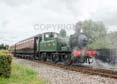 Photograph of 0-4-2T - 1450 0-4-2T at Didcot on 14/07/19