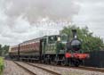 Photograph of 0-4-2T - 1450 0-4-2T at Didcot on 14/07/19