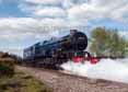 Photograph of KING EDWARD II - 6023 KING EDWARD II at Didcot on 15/04/17