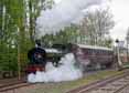 Photograph of 0-6-0 - 813 0-6-0 at Didcot on 15/04/17