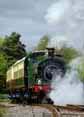 Photograph of 0-6-0 - 813 0-6-0 at Didcot on 15/04/17