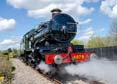 Photograph of PENDENNIS CASTLE - 4079 PENDENNIS CASTLE at Didcot on 15/04/22