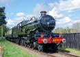 Photograph of PENDENNIS CASTLE - 4079 PENDENNIS CASTLE at Didcot on 15/04/22