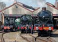 Photograph of Steam Images - The Platform is about this long at Didcot on 15/04/22