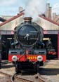 Photograph of PENDENNIS CASTLE - 4079 PENDENNIS CASTLE at Didcot on 15/04/22