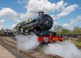 Photograph of PENDENNIS CASTLE - 4079 PENDENNIS CASTLE at Didcot on 15/04/22