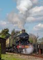 Photograph of PENDENNIS CASTLE - 4079 PENDENNIS CASTLE at Didcot on 15/04/22
