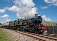 Photograph of PENDENNIS CASTLE - 4079 PENDENNIS CASTLE at Didcot on 15/04/22
