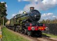Photograph of PENDENNIS CASTLE - 4079 PENDENNIS CASTLE at Didcot on 15/04/22