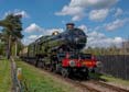 Photograph of PENDENNIS CASTLE - 4079 PENDENNIS CASTLE at Didcot on 15/04/22