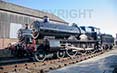 Poster ofLADY OF QUALITY - 2908 LADY OF QUALITY at Didcot on 18/11/18