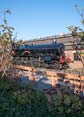 Photograph of Steam Images - Saint In The Garden at Didcot on 18/11/18