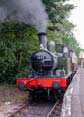 Photograph of 0-4-2T - 1450 0-4-2T at Didcot on 20/08/25