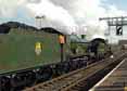 Photograph of ROOD ASHTON HALL - 4965 ROOD ASHTON HALL &  5043 EARL OF MOUNT EDGCUMBE at Didcot on 20/02/10