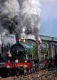 Photograph of ROOD ASHTON HALL - 4965 ROOD ASHTON HALL &  5043 EARL OF MOUNT EDGCUMBE at Didcot on 20/02/10
