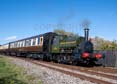 Photograph of TROJAN - 1340 TROJAN at Didcot on 20/10/21