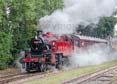 Photograph of 2MT - 41241 2MT at Didcot on 20/09/24