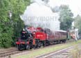 Photograph of 2MT - 41241 2MT at Didcot on 20/09/24