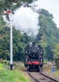 Photograph of 2MT - 41312 2MT at Didcot on 20/09/24