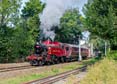 Photograph of 2MT - 41241 2MT at Didcot on 20/09/24