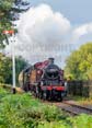 Photograph of 2MT - 41241 2MT at Didcot on 20/09/24