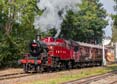 Photograph of 2MT - 41241 2MT at Didcot on 20/09/24