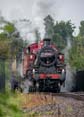 Photograph of 2MT - 41241 2MT at Didcot on 20/09/24