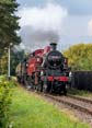 Photograph of 2MT - 41241 2MT at Didcot on 20/09/24