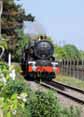 Photograph of KING EDWARD I - 6024 KING EDWARD I at Didcot on 23/04/11