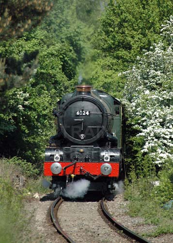 See large image