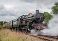 Photograph of PENDENNIS CASTLE - 4079 PENDENNIS CASTLE at Didcot on 23/06/24