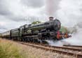 Photograph of PENDENNIS CASTLE - 4079 PENDENNIS CASTLE at Didcot on 23/06/24
