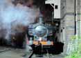 Photograph of 0-6-0PT - 3650 0-6-0PT at Didcot on 23/10/10
