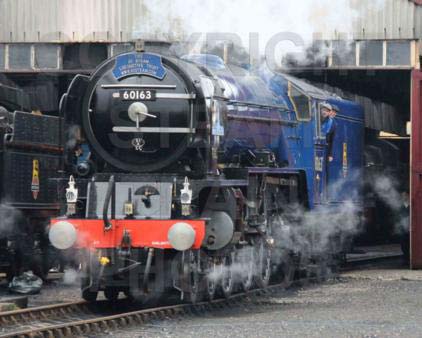Purchase posters of 60163 TORNADO