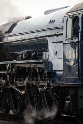 Purchase posters of 60163 TORNADO