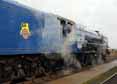 Photograph of TORNADO - 60163 TORNADO at Didcot on 25/11/12